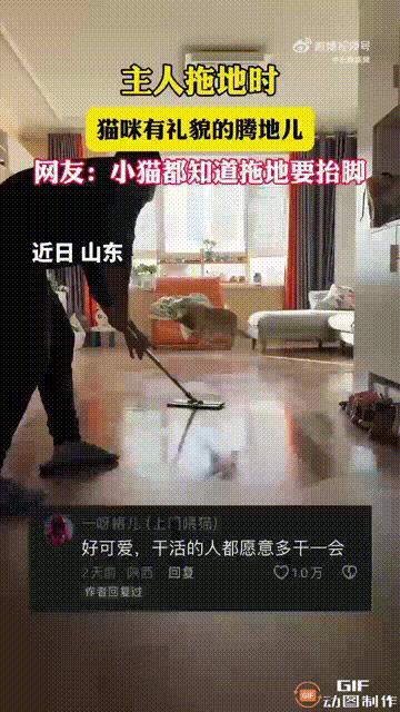 山东一位老人在家拖地时，他养的小猫在一旁积极配合，时而躲闪避让，时而又轻轻跳跃，