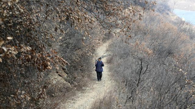 如果打仗了往山里跑安不安全？就这么跟你说吧，10个人躲山里，大概只有7~8个能活