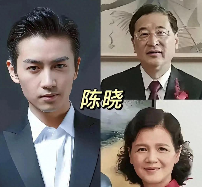 陈晓跟他妈妈长得好像呀一看就是她妈妈的儿子