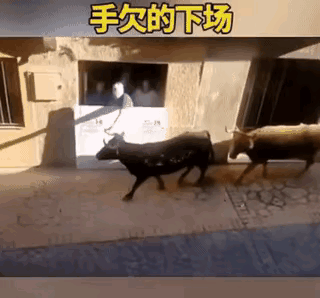 手欠的人真的是太令人无语了，本来好好的，就因为手欠，这下好了，一屋子人跟着遭殃。