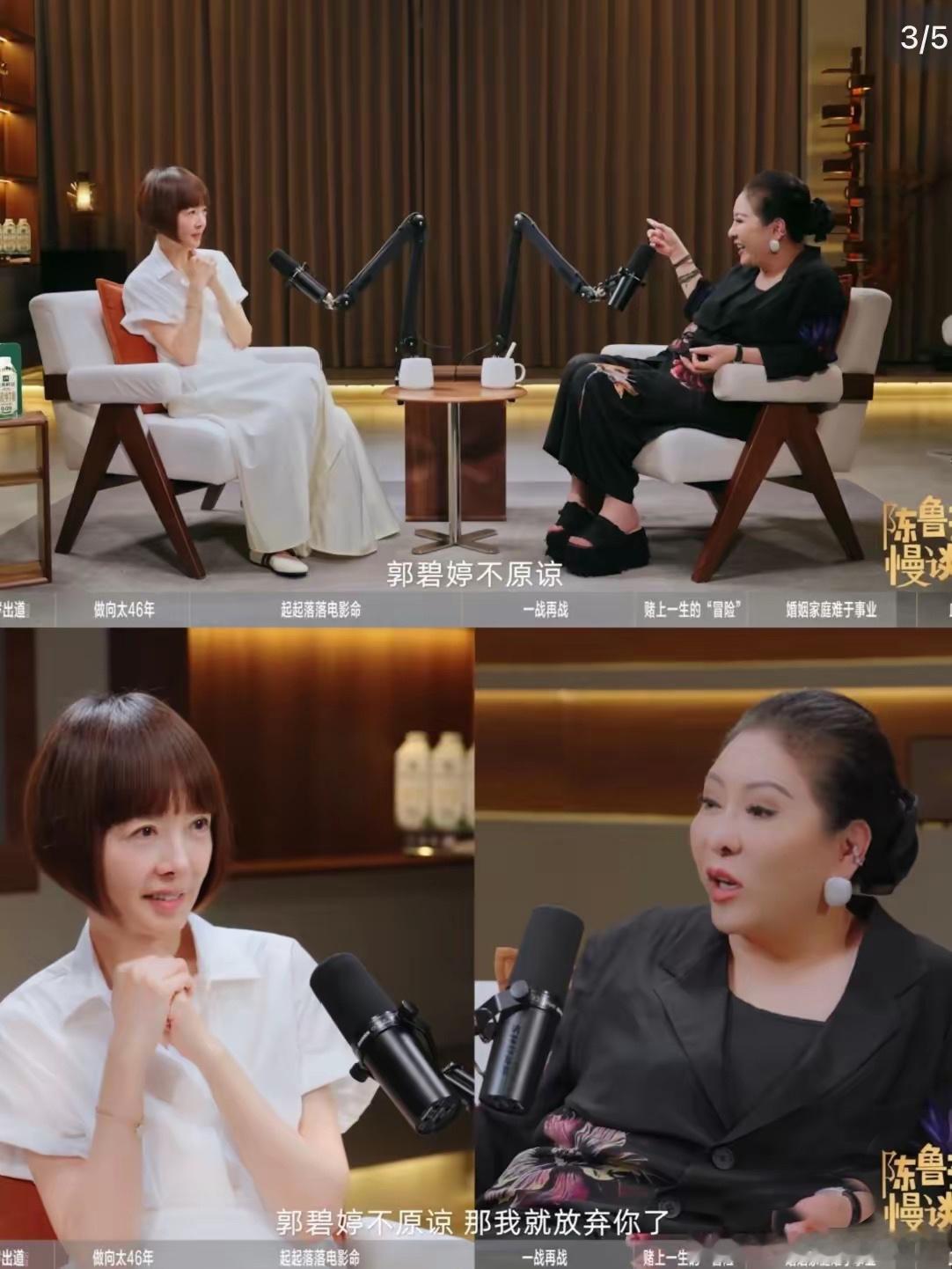 鲁豫和向太陈岚的访谈。惹得向佐大发脾气。（图一）。我觉得他们俩兄弟应该都不喜欢这