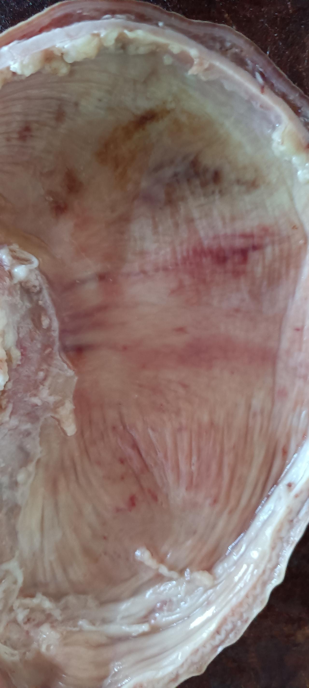 今天不忙，给大家分享一个我认为很好吃的菜，我做得挺拿手的，百分之八十的人都没吃过