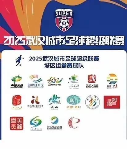 武汉的路子走对了，苏超实在太特殊，各城市比较均衡，其他省份真学不了。既然是一城独