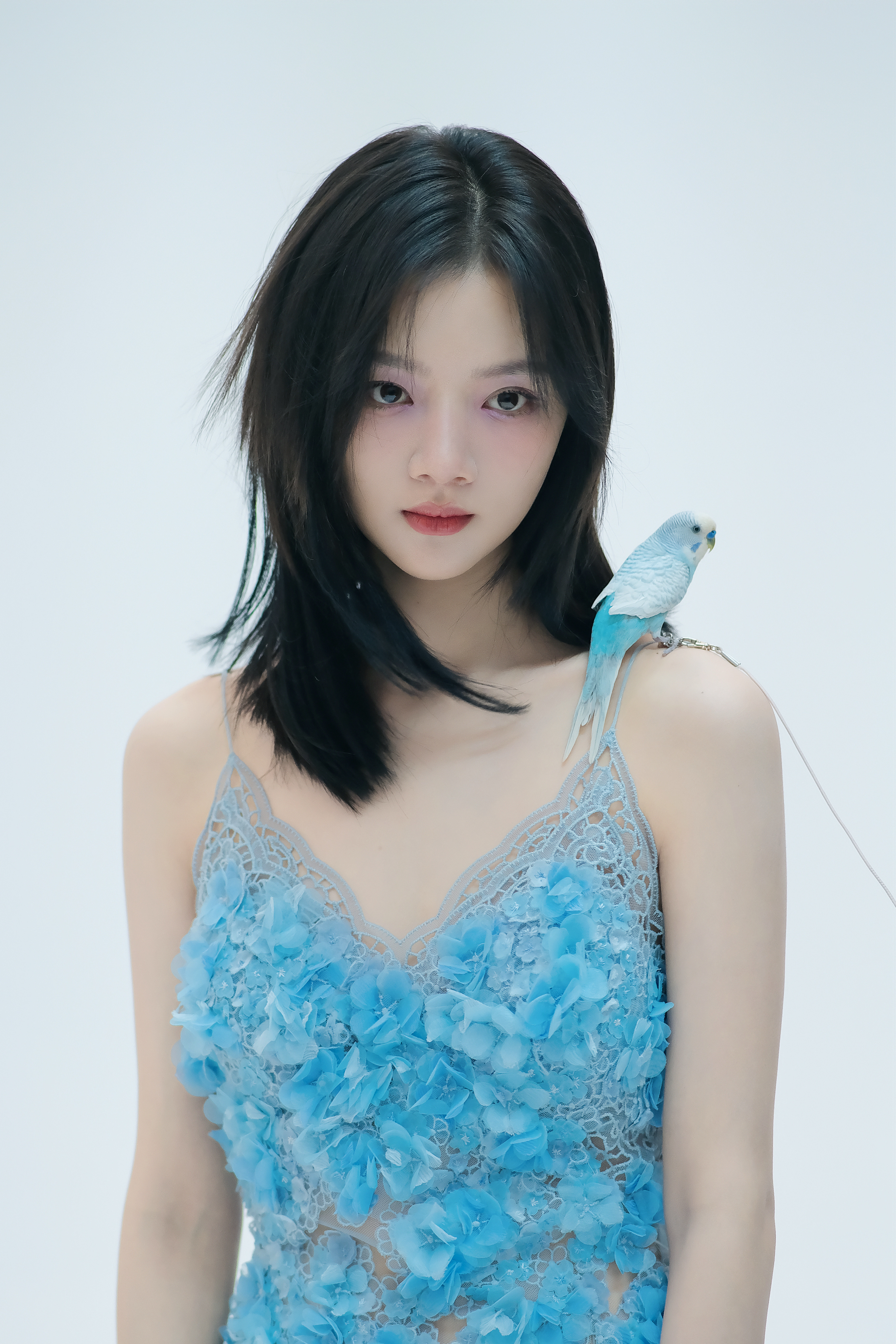 任敏任敏在复制粘贴的时代，你是手写的诗[玫瑰]​​​