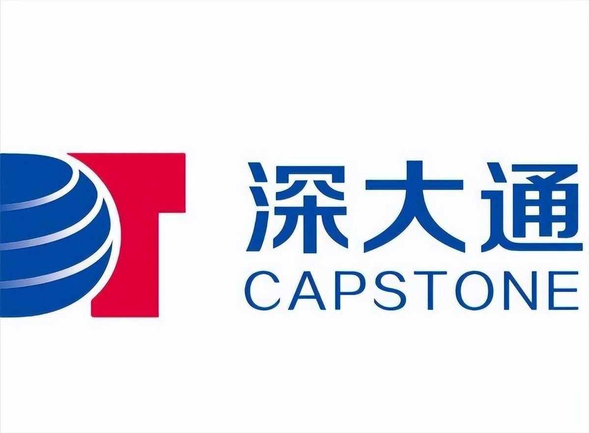 她以为能隐身，结果被系统秒抓，普通人却替她还债2025年12月1号，新加坡樟