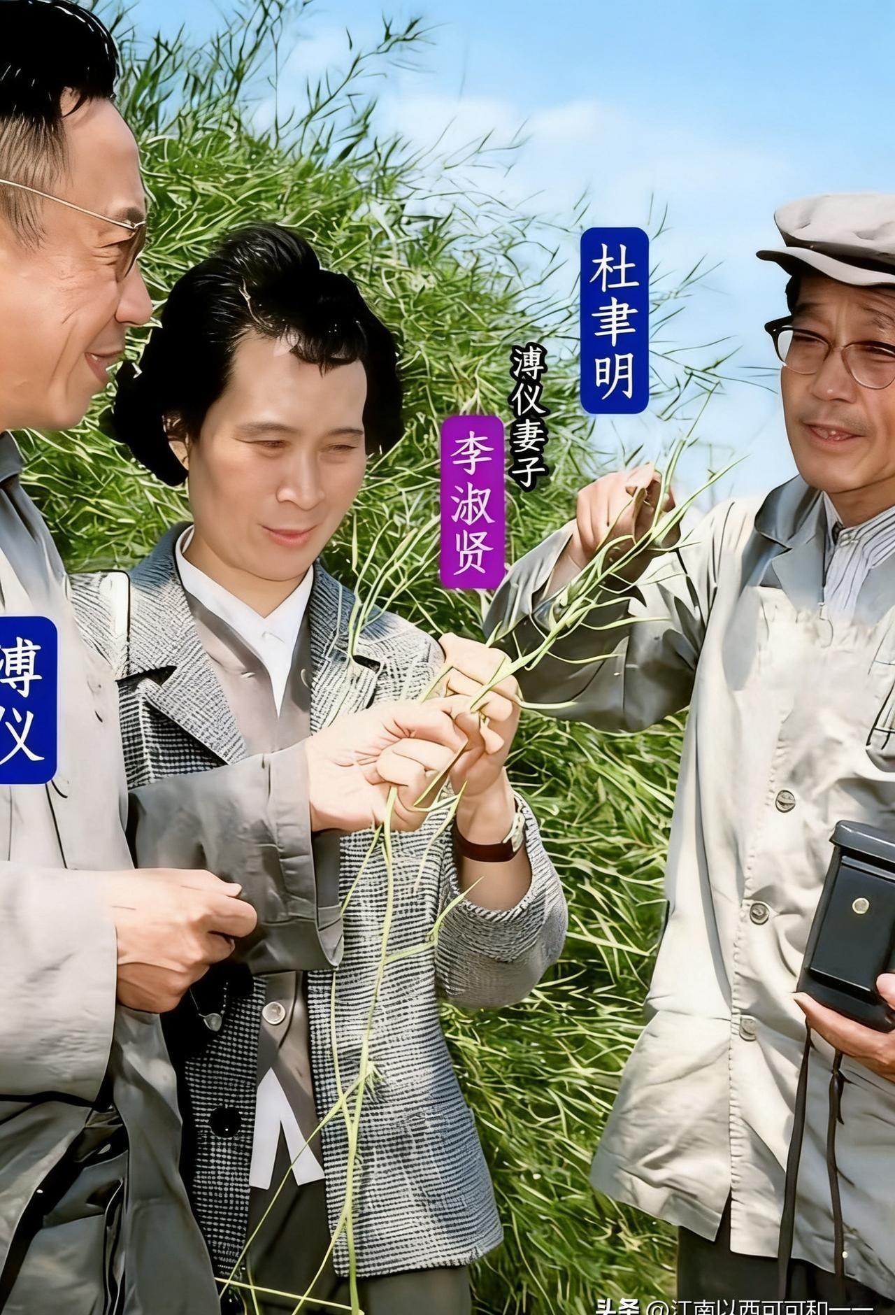 1955年，大清最后一位禁卫军统领载涛，在人民大会堂被毛主席亲口点名，问他敢不敢