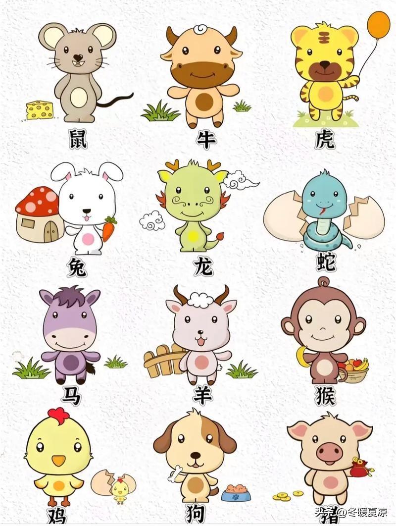 十二生肖最适合干什么工作1、鼠适合——教师2、牛适合——种地3、虎适合