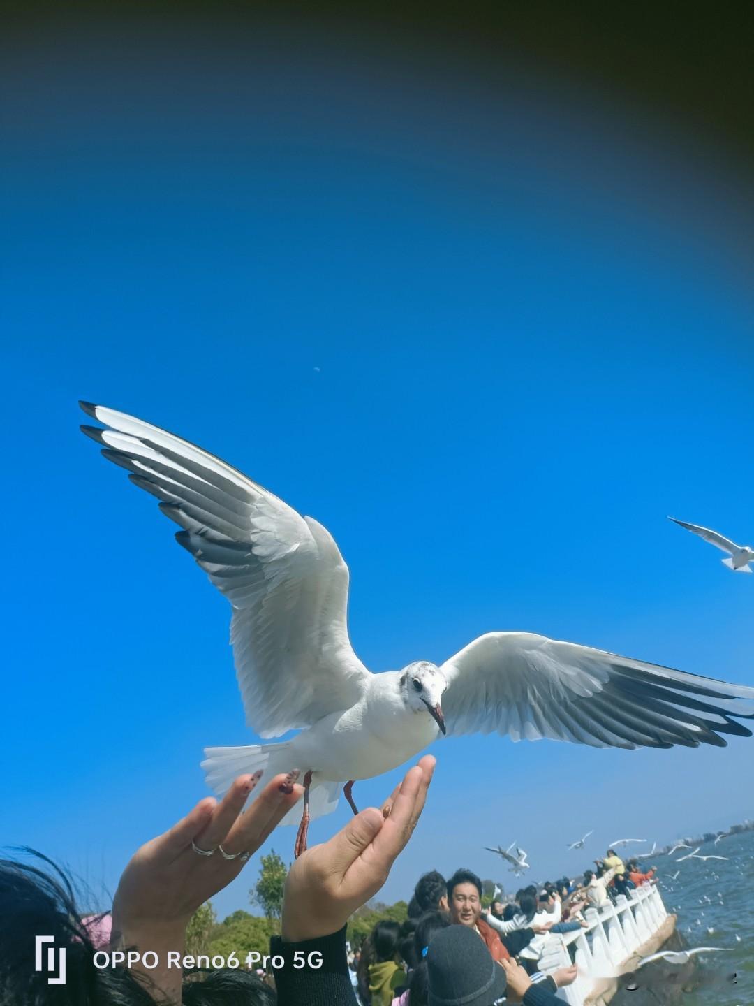 今年45岁了我的工资一个月8000块我攒了20年的存款只有40万。可能很多年