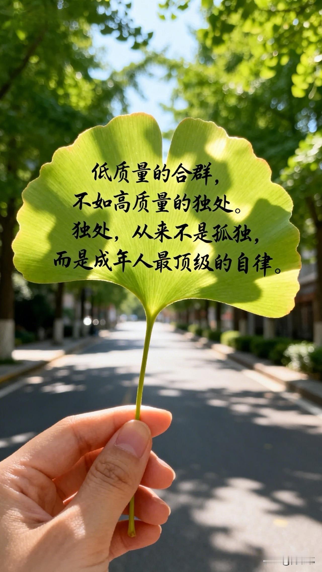 低质量的合群，不如高质量的独处；独处，从来不是孤独，而是成年人最顶级的自律。[祈