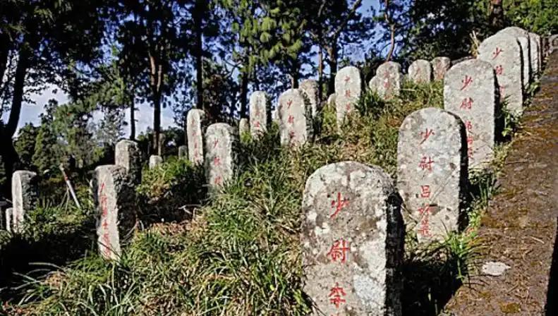 腾冲县政府第7次收到日方函件，对方提出投资3.5亿修高速换藏重康美的遗骸，日本人