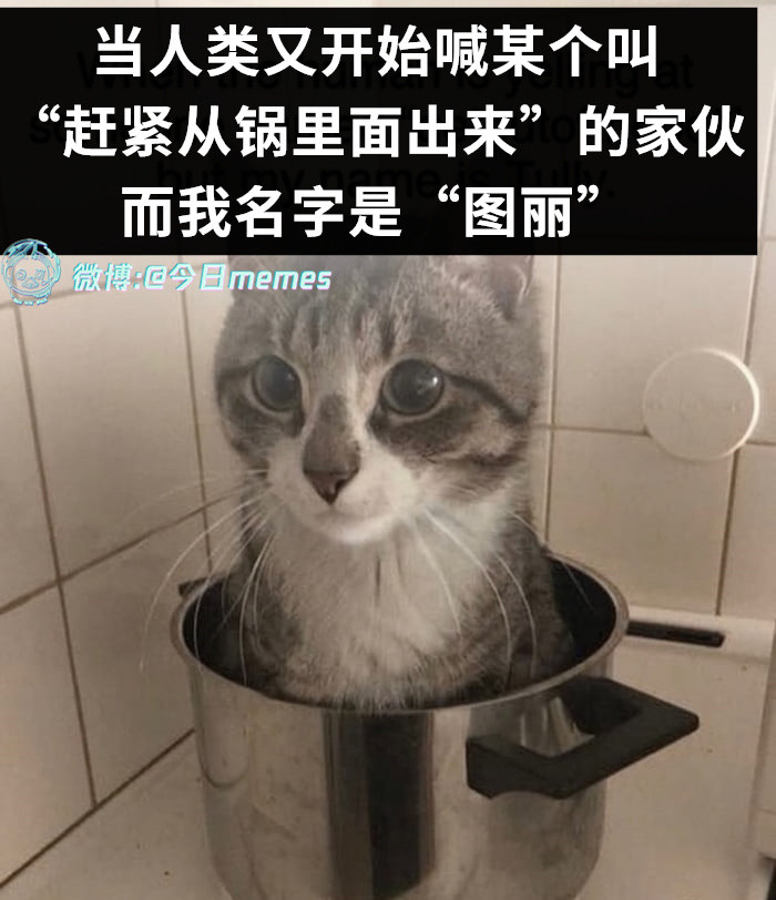 赶紧答应一声（9gag）今日meme今日memes