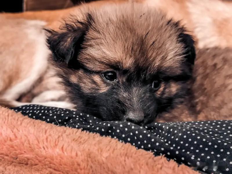 一段很有道理的话：书店不努力，成就了电子书平台；网吧不努力，成就了家用主机、手