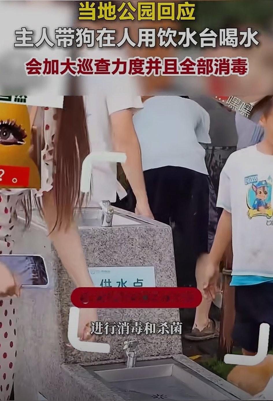 深圳的这位狗妈妈火了。深圳湾公园，一位狗妈妈带着自己的毛孩子直接使用直饮水。