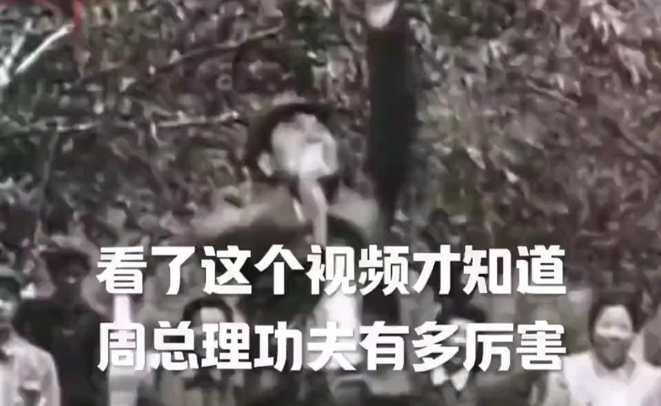 震撼！揭秘周总理武术绝技，历史人物的隐藏实力