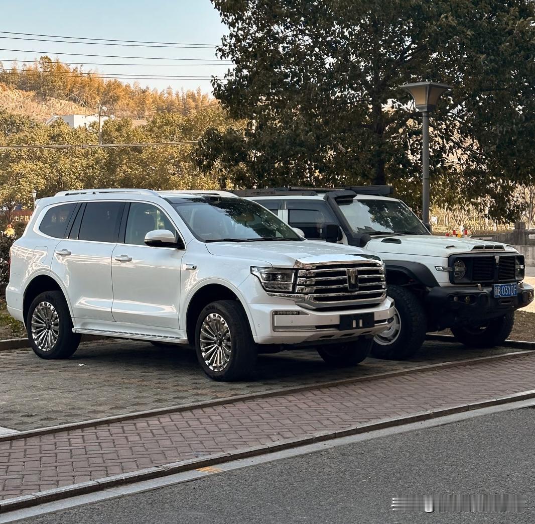 这样对比起来坦克300引擎盖比坦克500都要高一截。气势十足，经典的车型就是不一