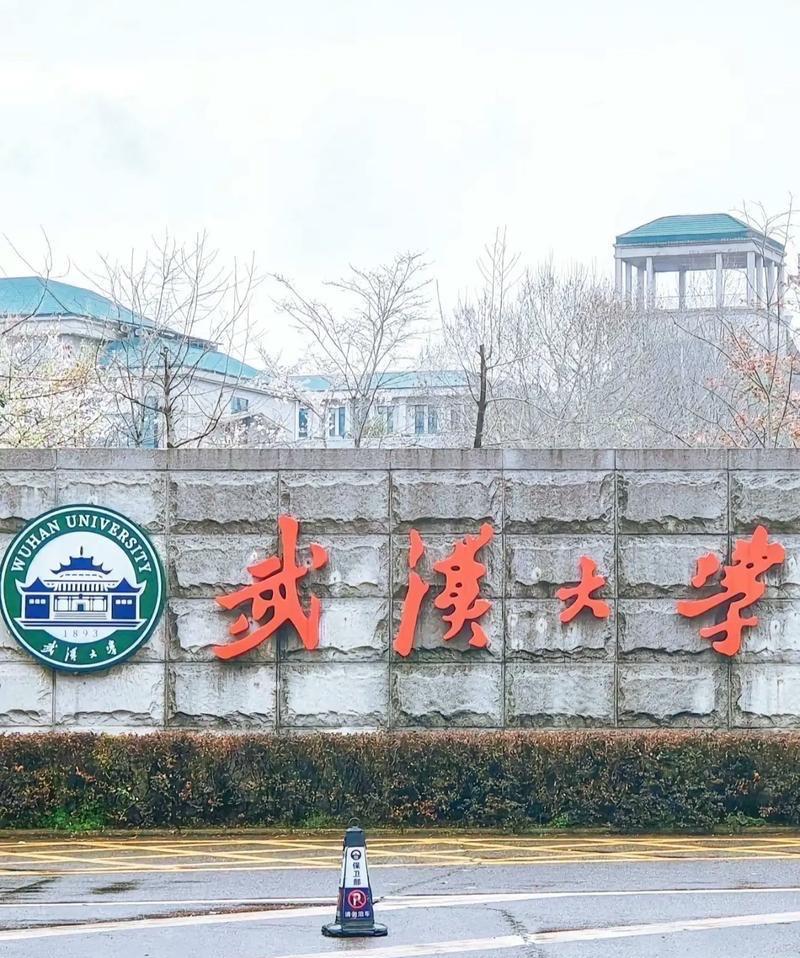 武大被爆接受美国资助，提供美方需要的课题研究成果，这事干的让人挺担心！近日有媒