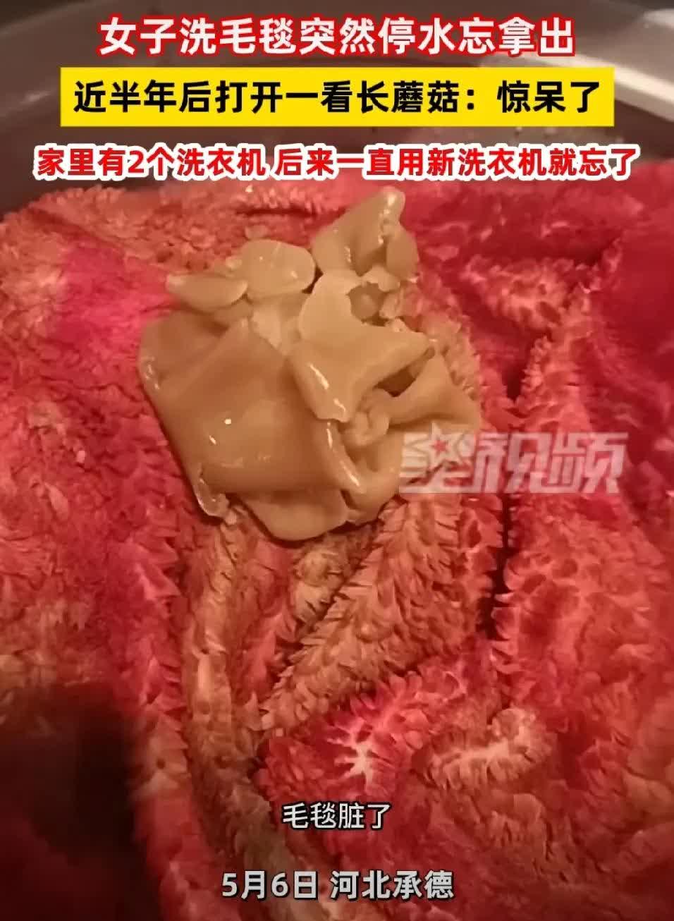 生活中总有些意外让人哭笑不得，河北承德的陈女士就遇到了这样一件稀奇事。半年前她洗