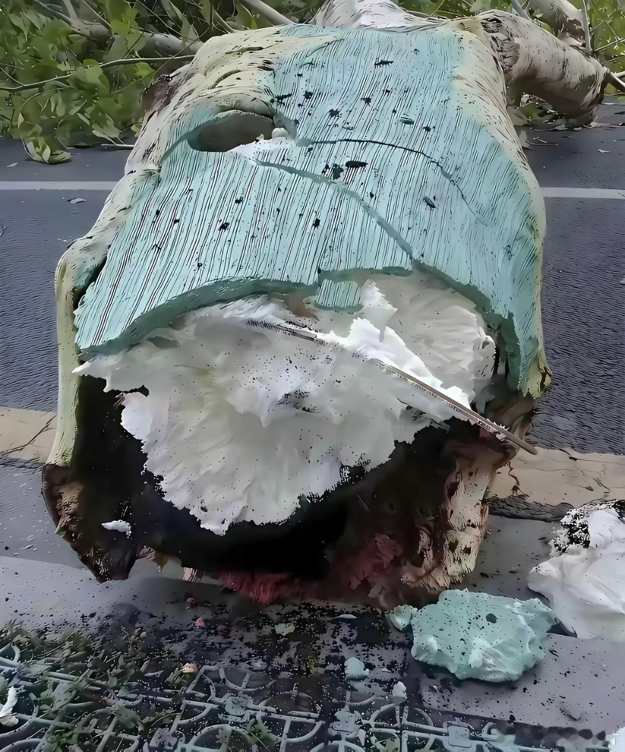 我想知道还有什么是真的。