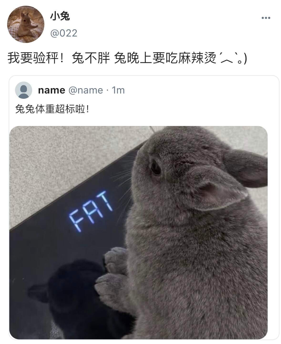 当我捡到小动物的手机！超级可爱！