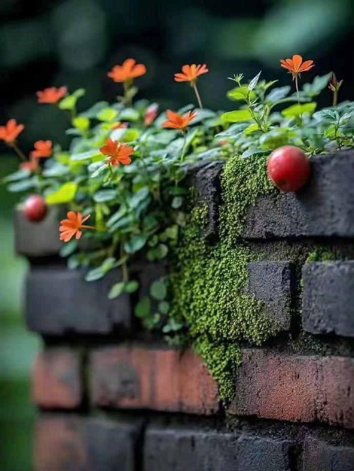 事后这个土匪说，之所以不敢动枪，是怕打死了这个八路，给村里的人带来麻烦，他也不能