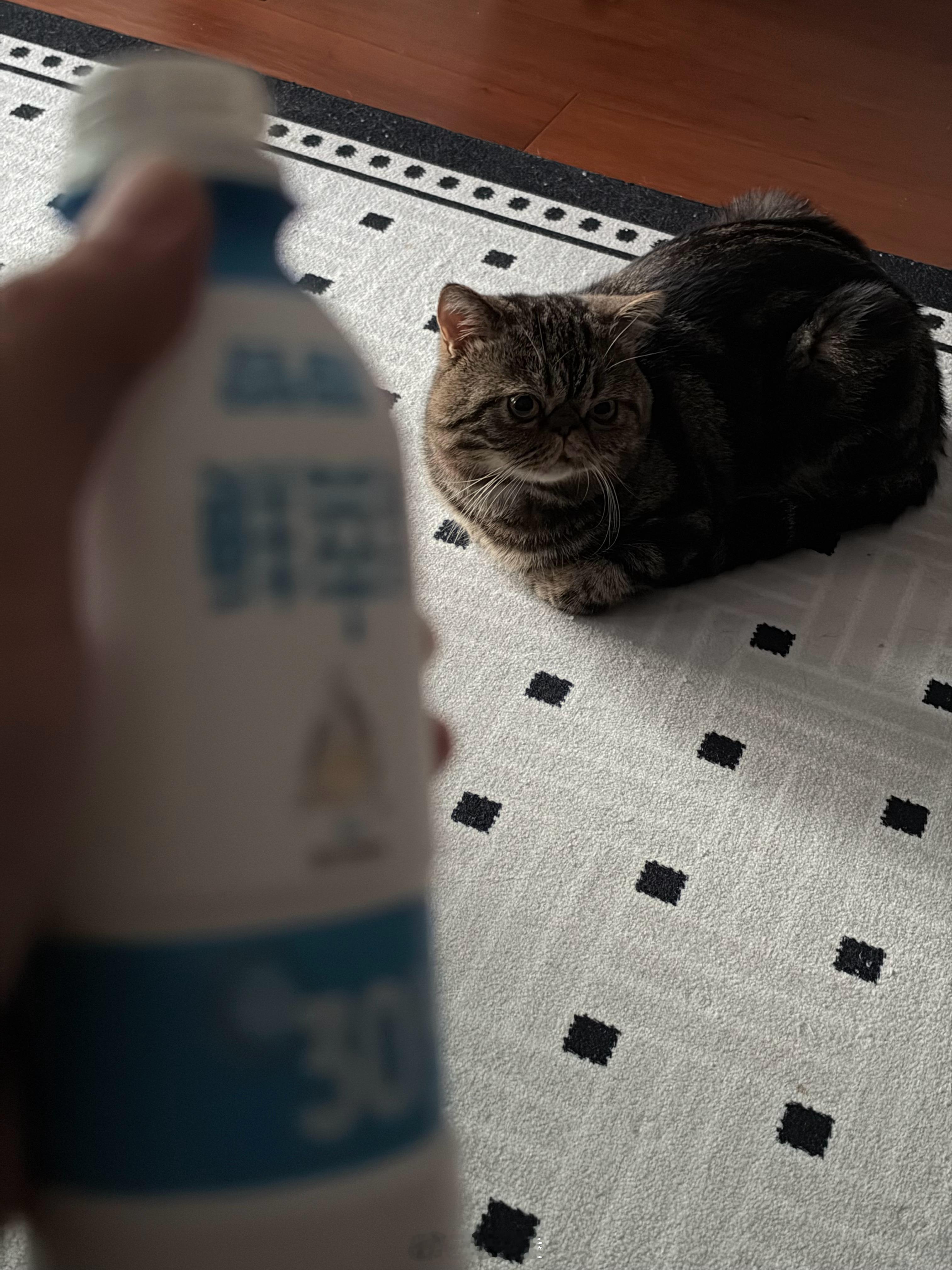 别看了，你那碗蛋白质更高​​​
