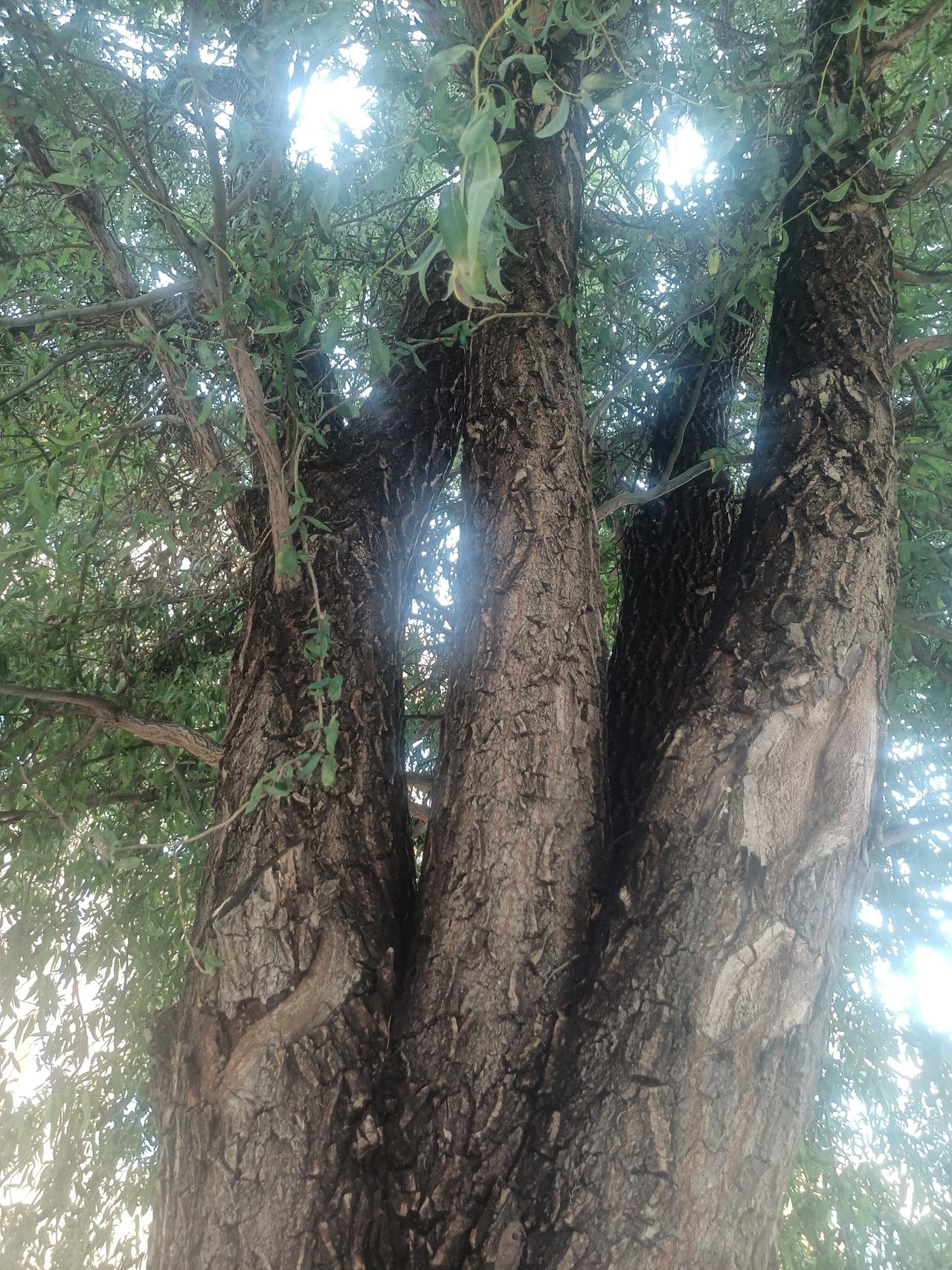 福彩3D出的号扑朔迷离，昨晚竟然开出206全双。还是断了一路号，我还拿一路