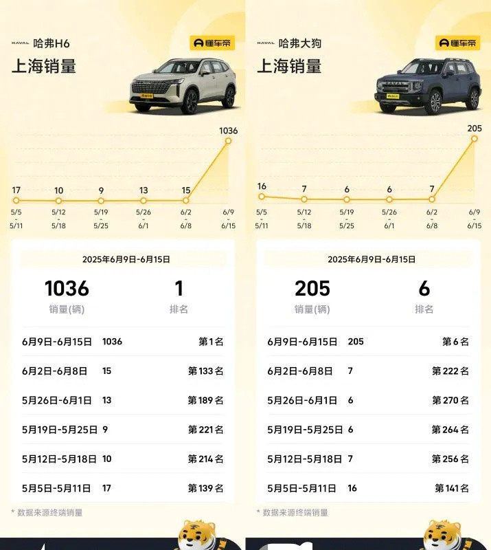 上海h6，大狗卖爆了。单周破千。