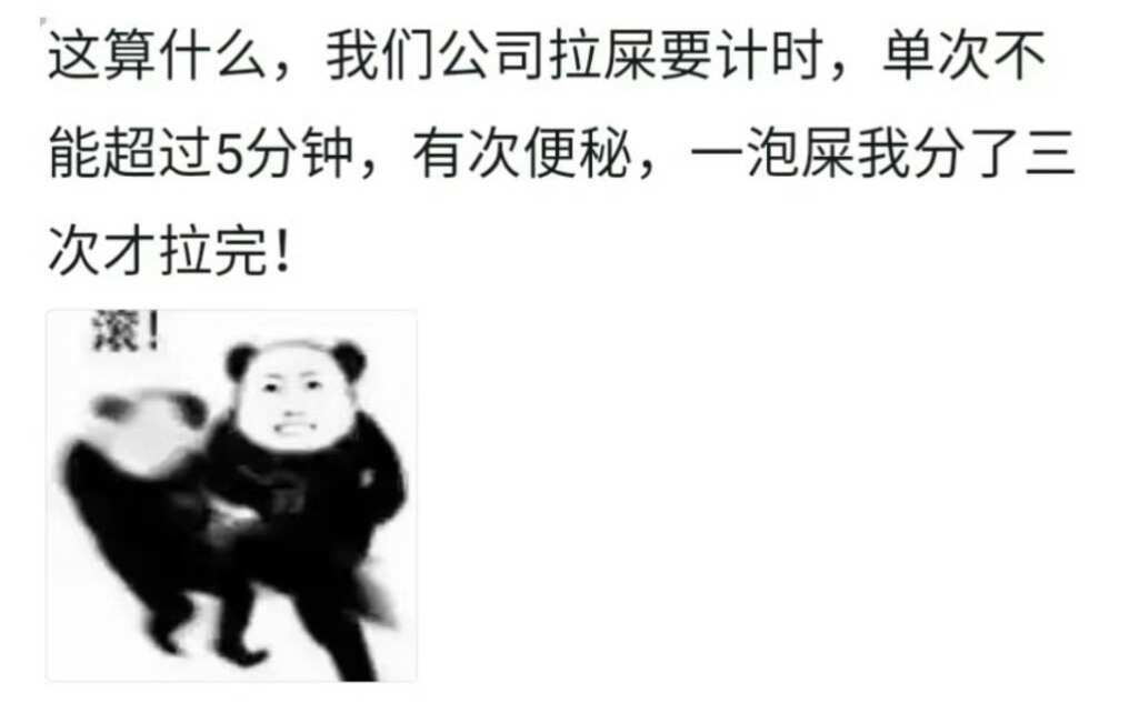 公司规定能有多离谱