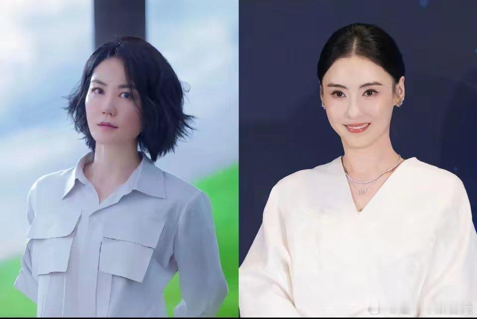 终于理解谢霆锋为什么选王菲了，张柏芝和王菲比起来，真的差太多了，王菲的整体身家大