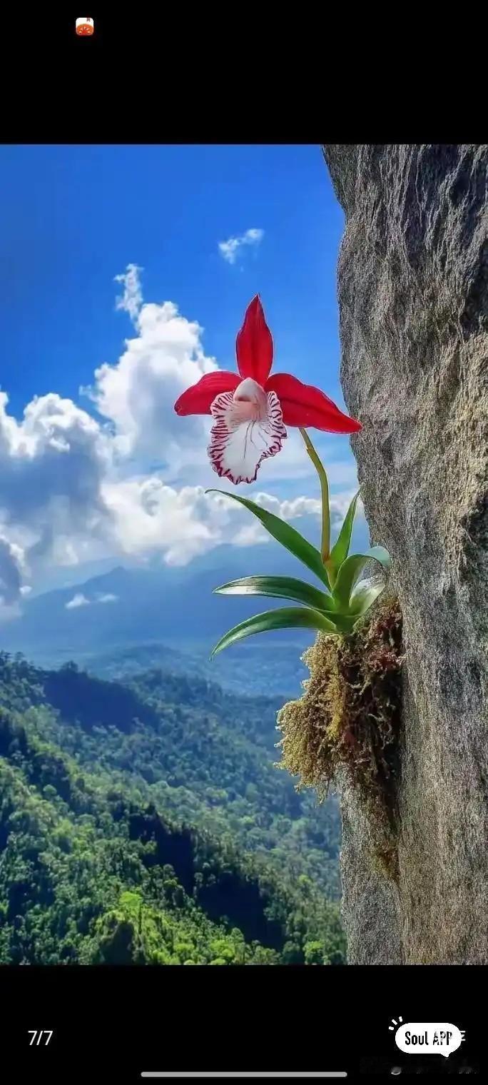 谈恋爱，最费牙了。中医上说，人的牙齿跟肾有关。之前五年单身的时候，我的牙齿一