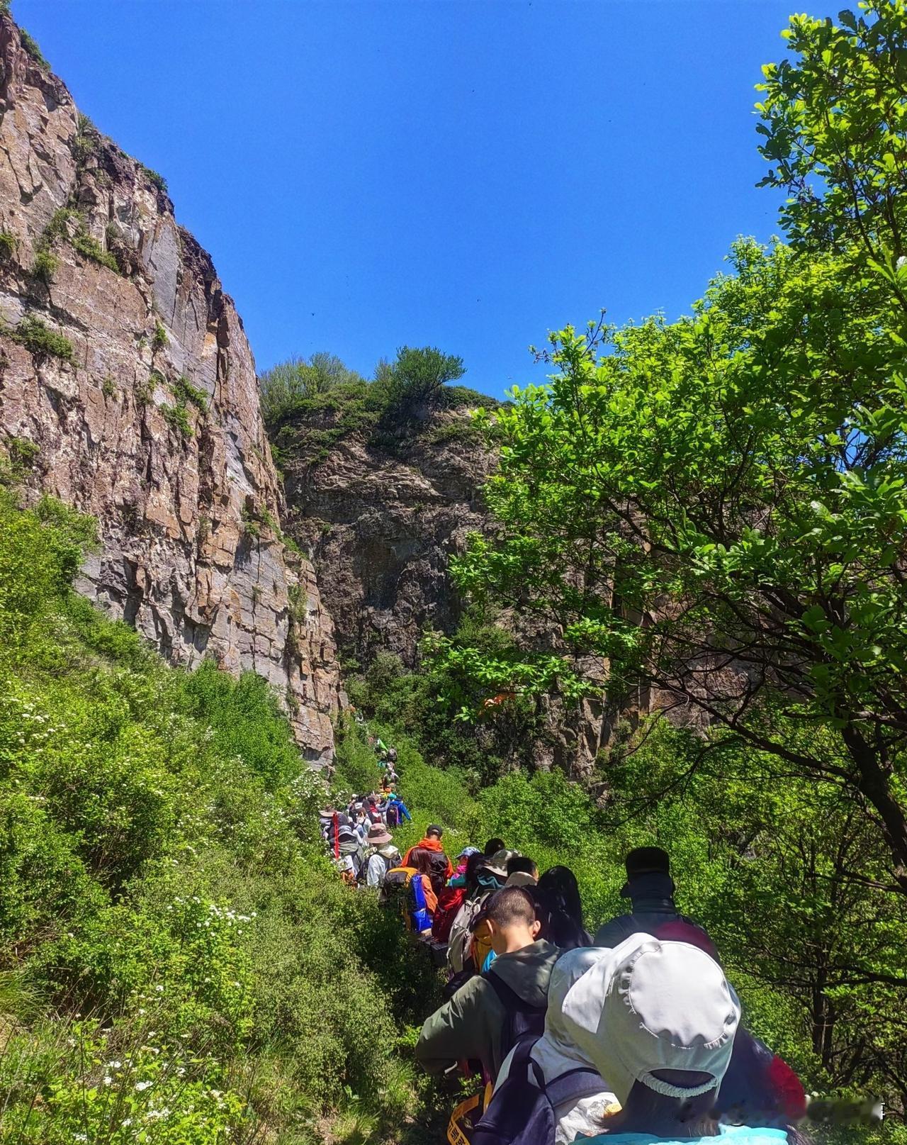 五一到了，坚决不去5个地方:​第一不去：上海​第二不去：黄山​第三不去