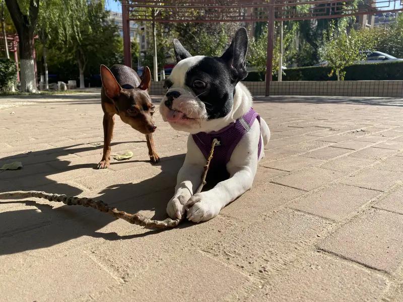 当领导那么累，为啥还有人愿意当？其实当领导累不累因人而异。一把手主要负责规划、部