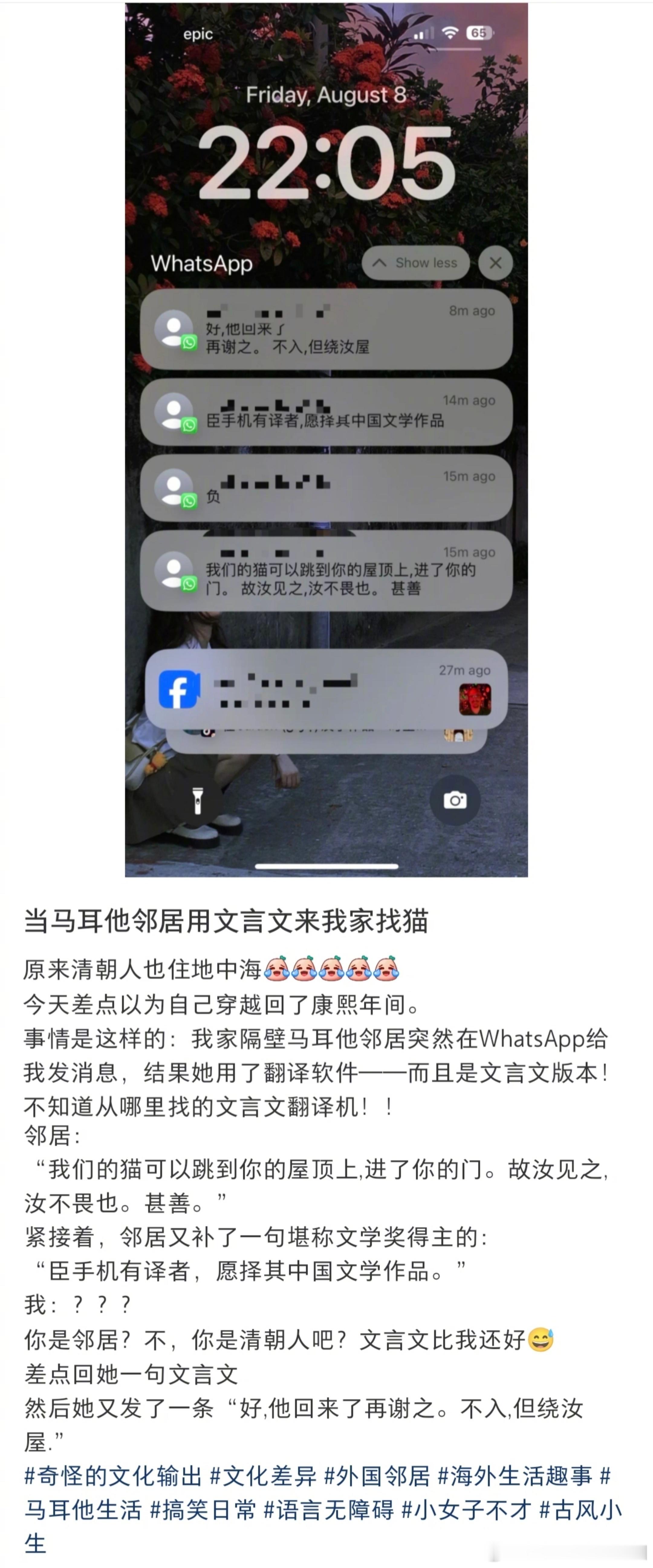 当网友的马耳他邻居用文言文来家里找猫​​​