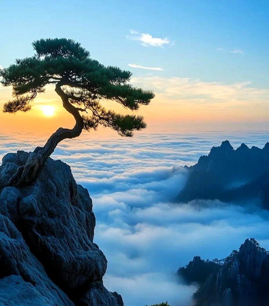 你有没有感觉，风向好像要变了。前几年，是不是感觉像在泥潭里走路？每一步都沉得要