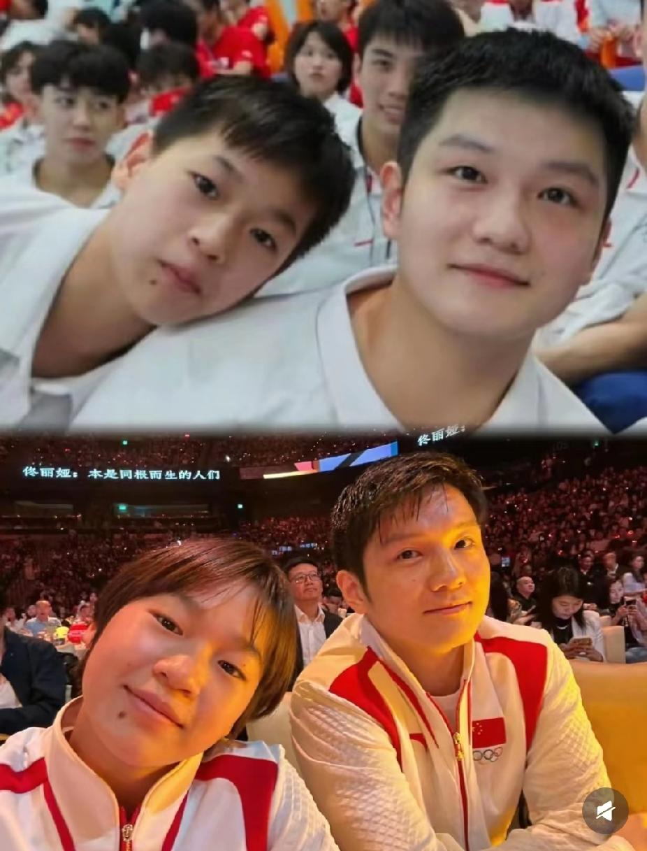 谁懂啊！婵宝和樊振东这三年，变化全在眼睛里✨广东队的“亲兄妹”，真的看哭了