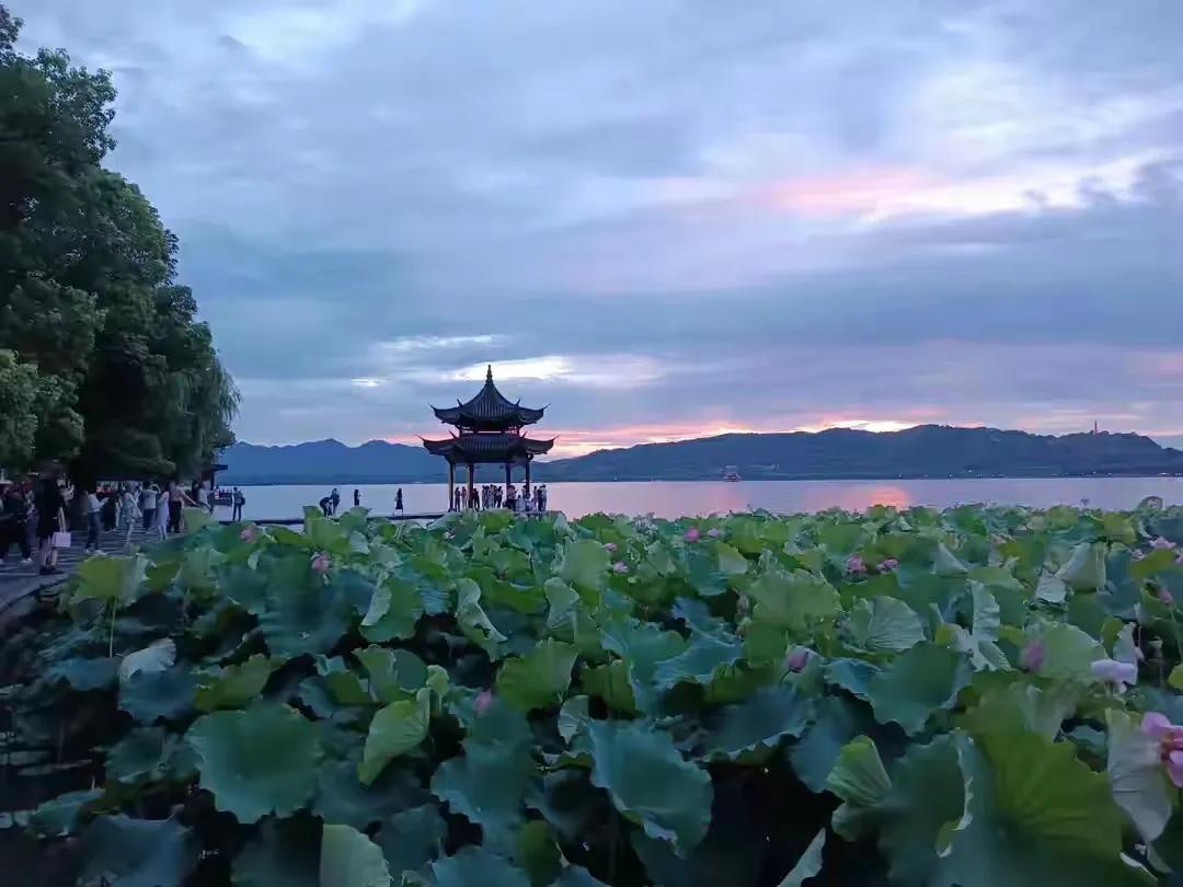 西湖的夏天太美了，荷花满池塘，鸳鸯成双成对，松鼠活泼可爱，美女们穿的也越来越清凉