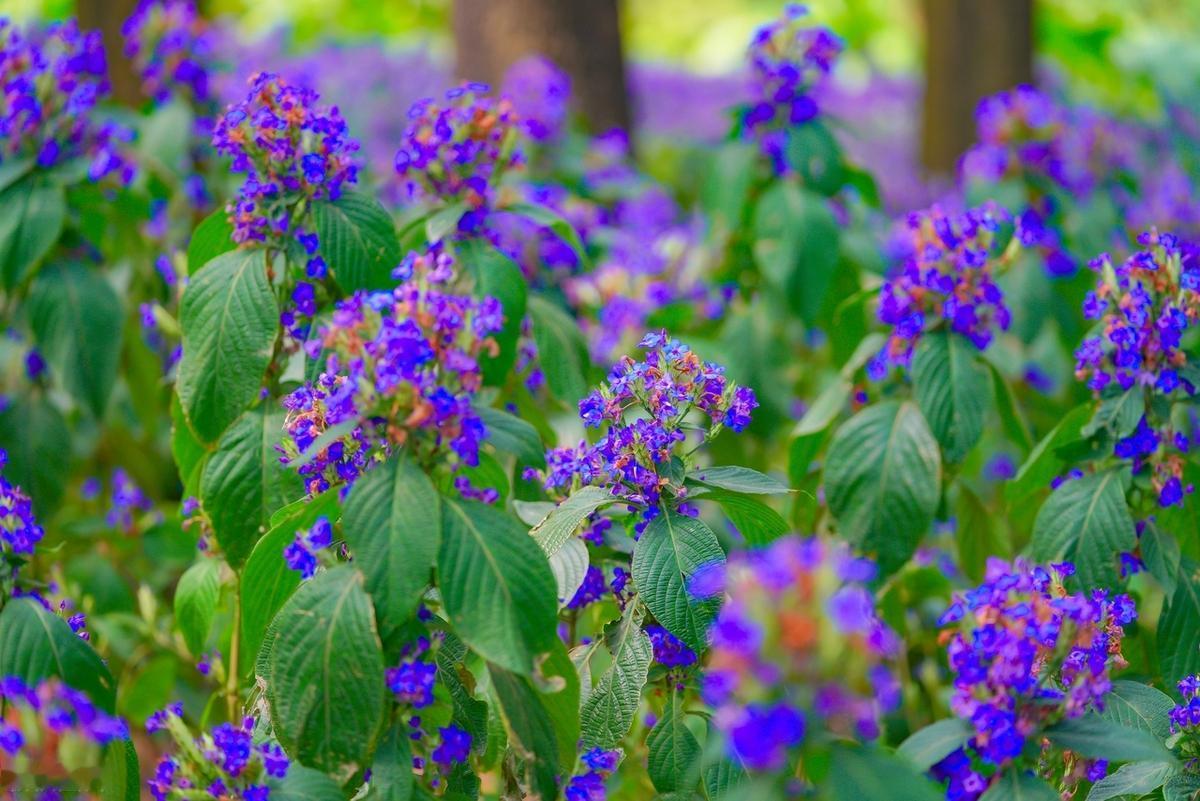 有人帮你是幸运，学会心怀欢喜与感恩；无人帮你是命运，学会坦然面对与承担。没有人该