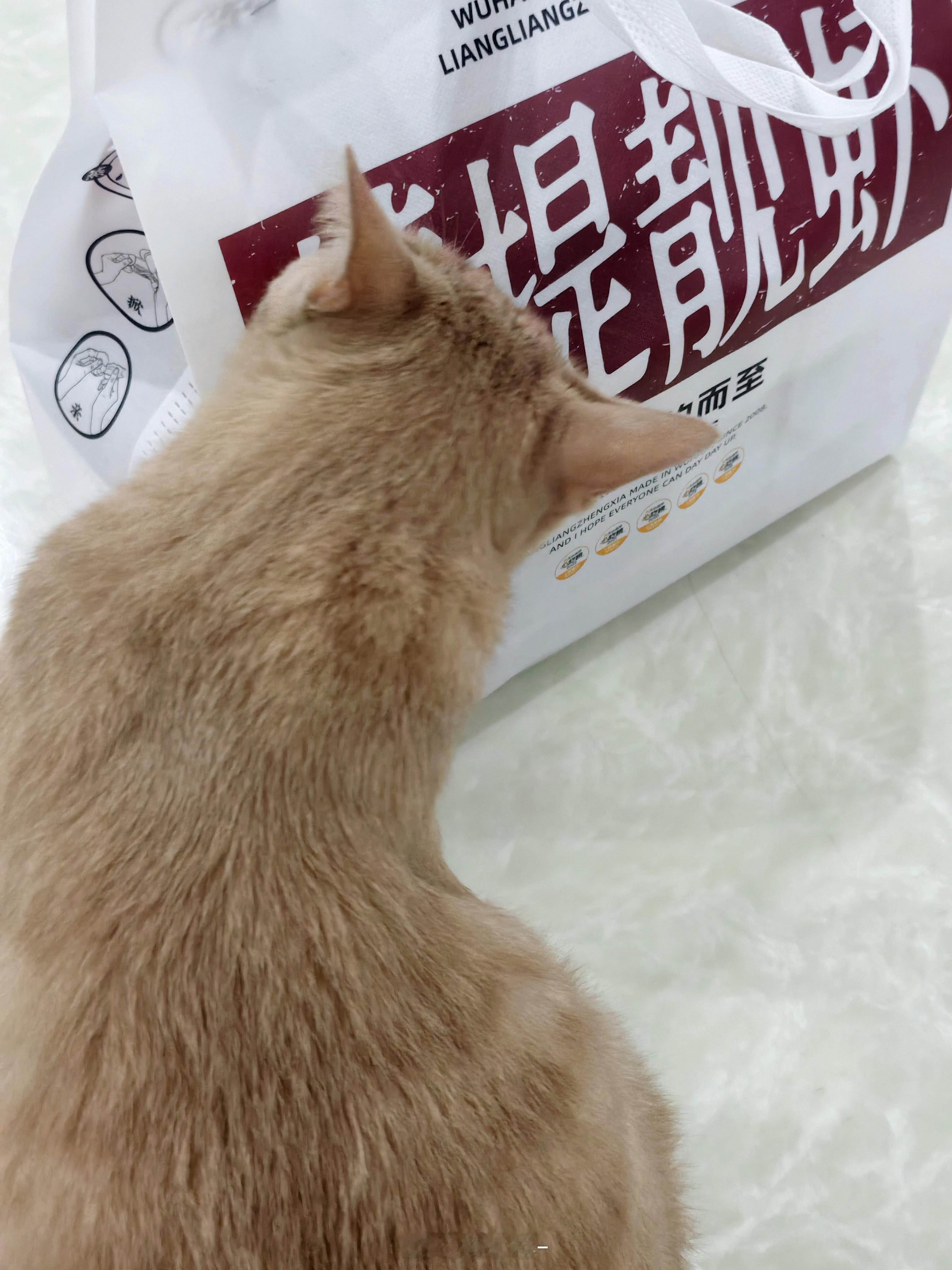 今天小龙虾自由[doge]买了四斤的蒸虾和蒜香的各一半大家不用羡慕哈今天小卷长胖了吗