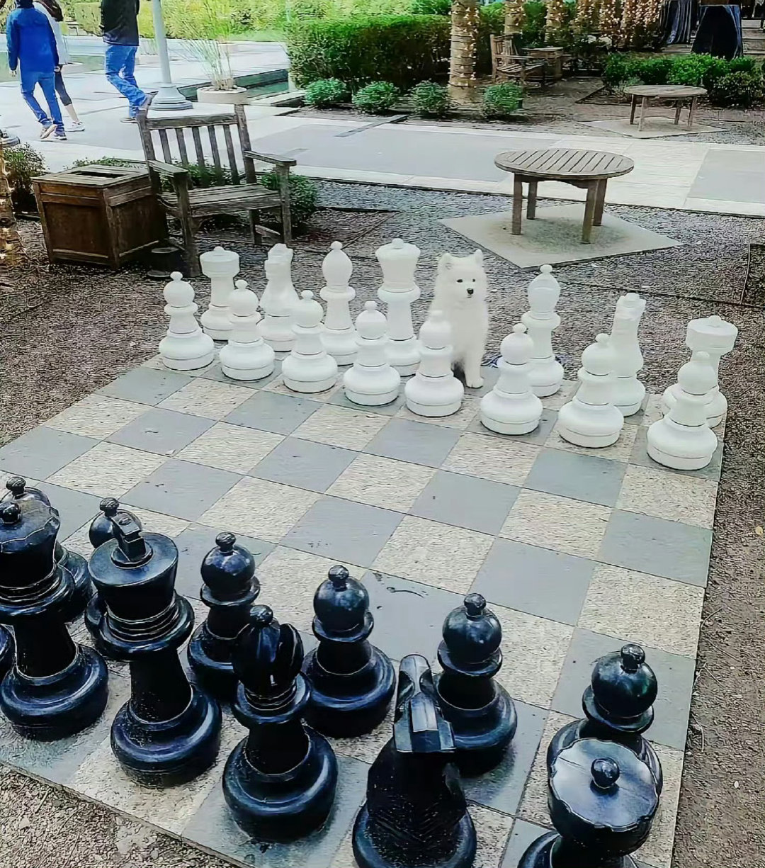 当你简历造假却依然得到了这份工作​​​