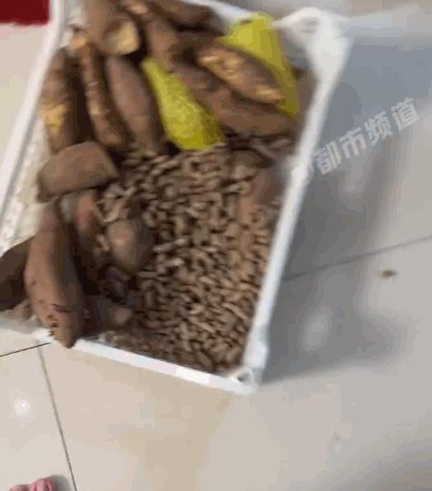 “真是哭笑不得！”女子只花5块钱网购了一箱土豆，满心期待收到沉甸甸的新鲜大土豆，