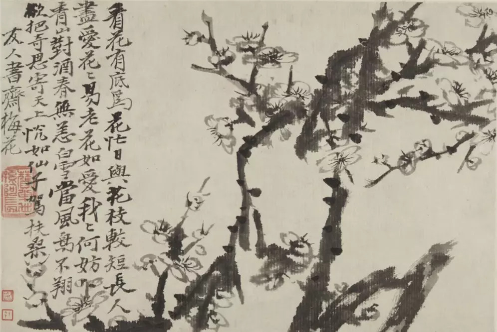 石涛《梅花图册》。皆水墨逸笔，或疏影横斜，或凌空独放，或盘屈如龙蛇飞舞，或龙钟如