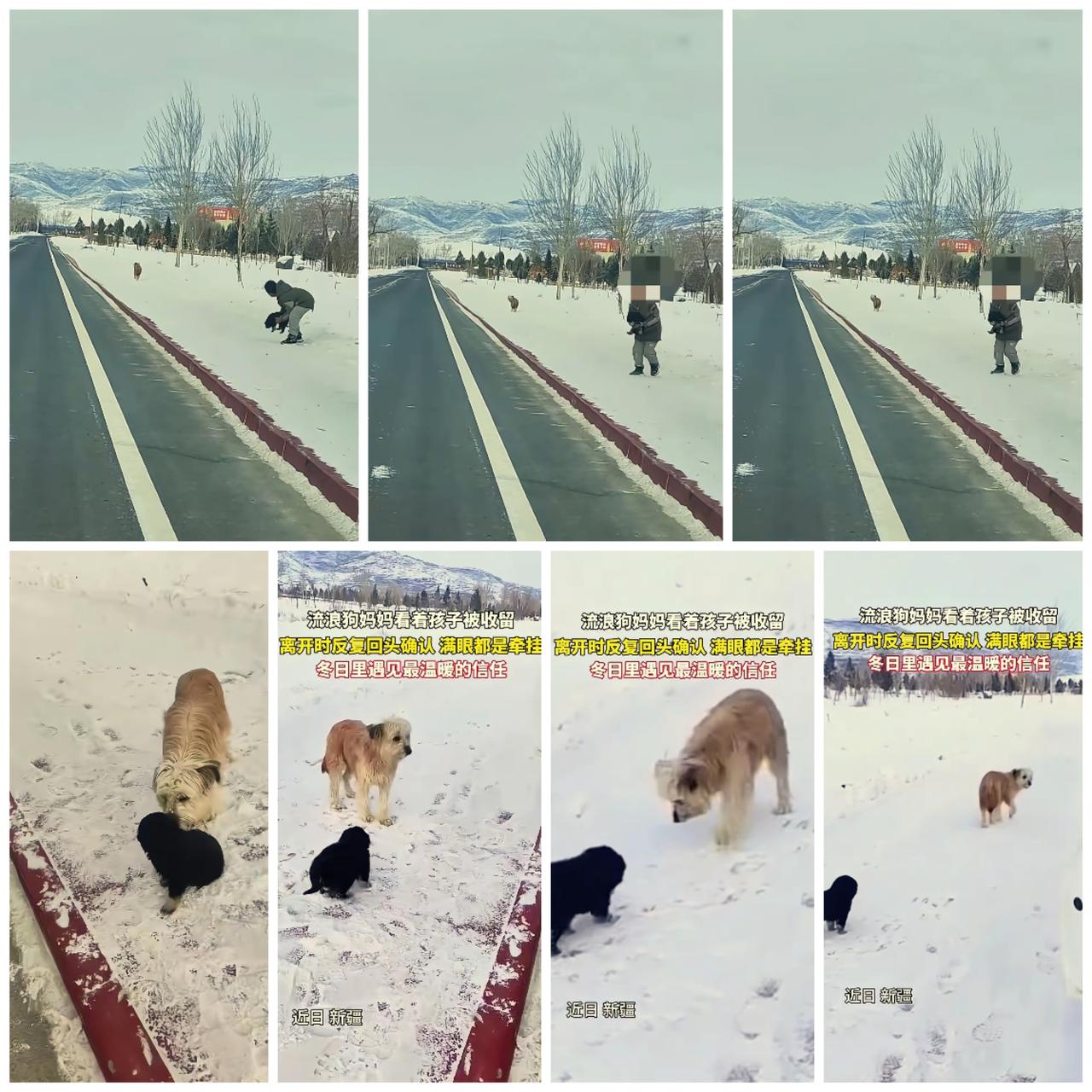 “看哭了！”冰天雪地里，一个母亲走投无路时最勇敢的决定，让无数人瞬间破防！