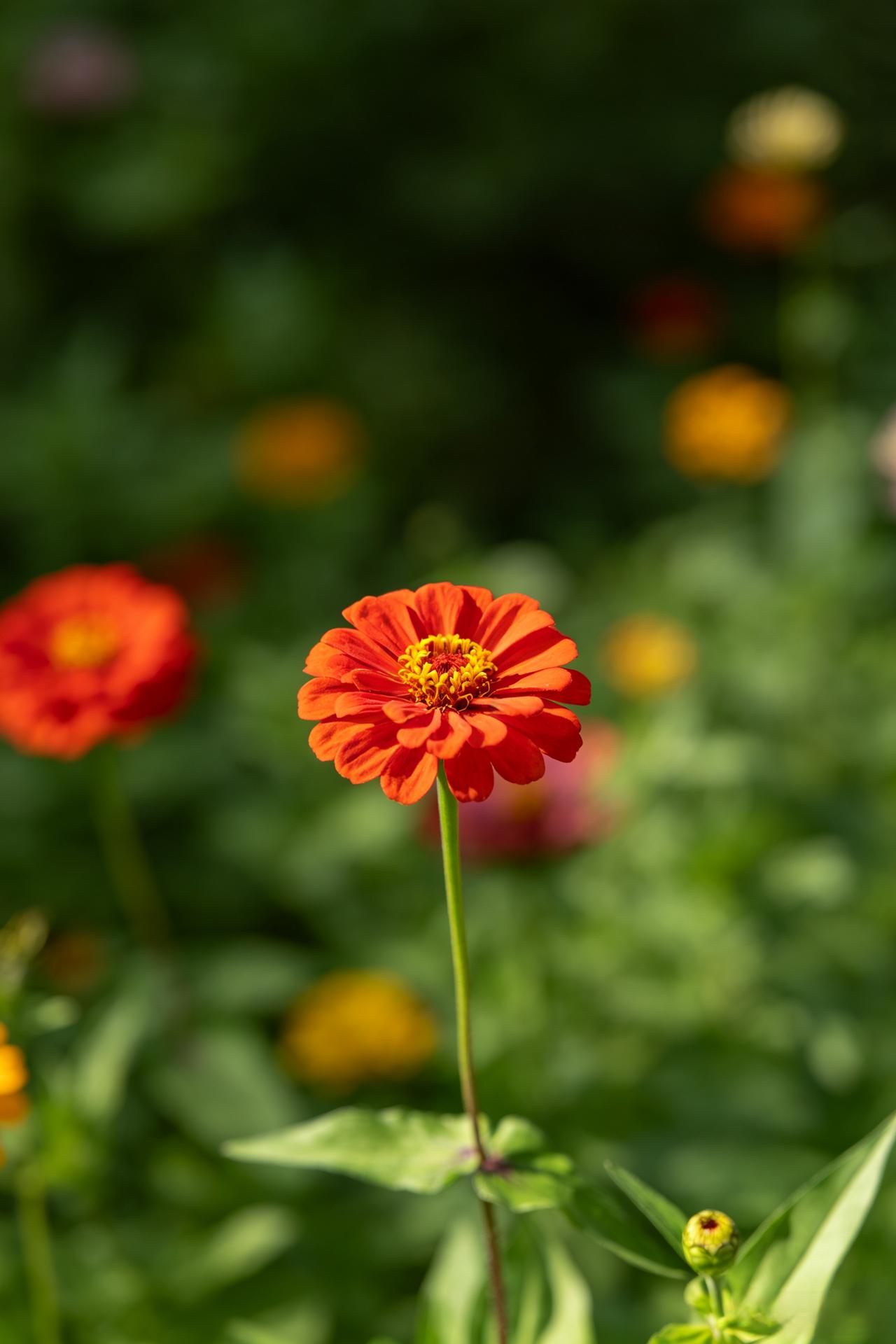 一位智者说：“未来几年，保命最重要。3-5年之内，人类面临大洗牌，你要做的就是