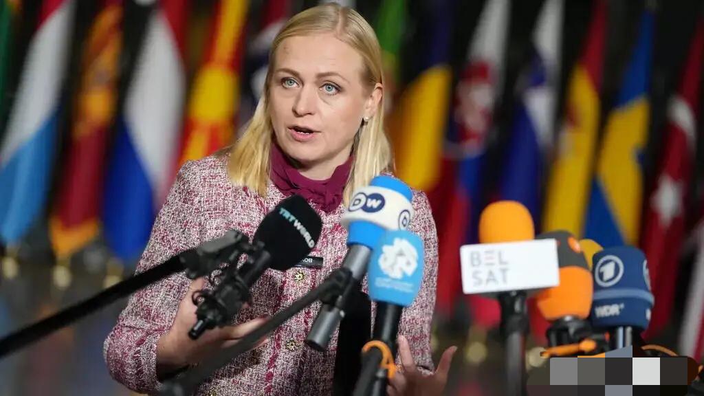 芬兰女外长发表极端对华言论，公然逼中国二选一？4月22日，芬兰外长瓦尔托宁在赫尔