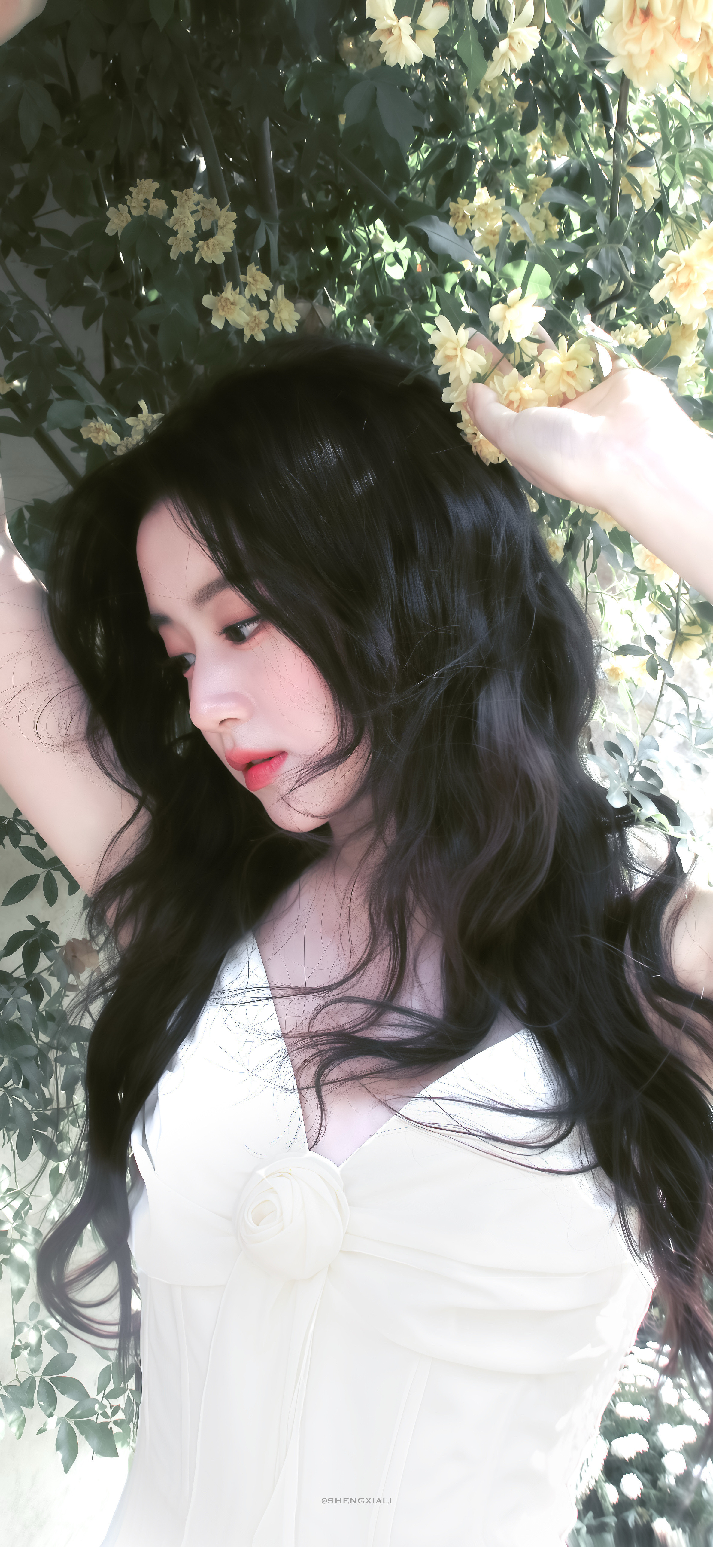 绝美壁纸