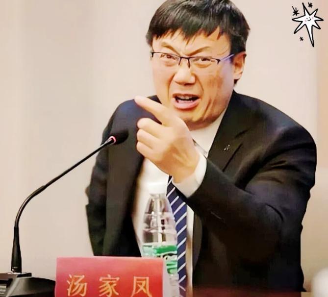汤家凤终于捅破了窗户纸：美院的境外资助，该公布了！一个教高数的跨界骂艺术，听