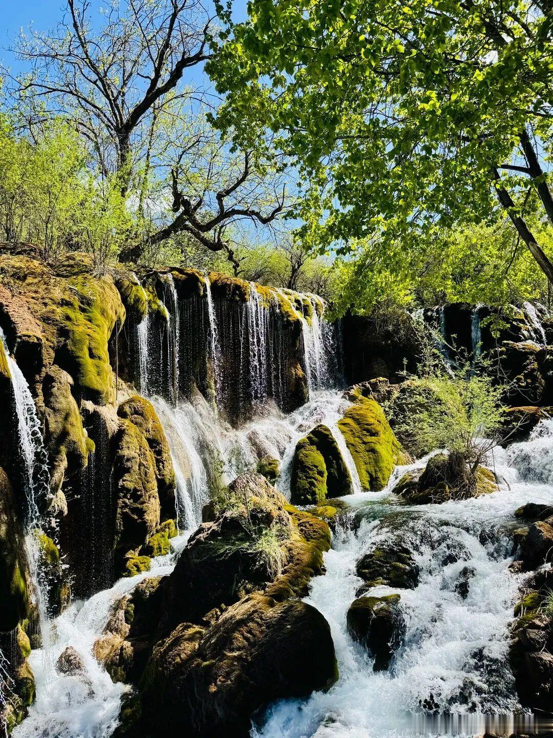夏天来九寨沟，19-26℃的舒爽体感，负氧离子爆棚的林海，逛起来太治愈！景区调度