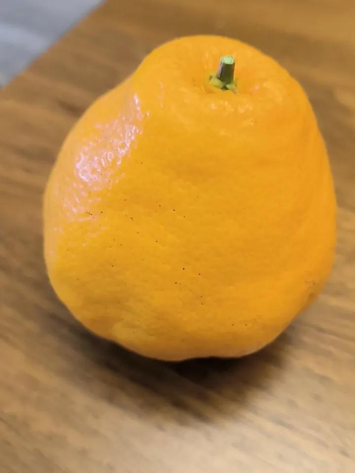 去年，我弟出了交通事故，着急用钱，我弟媳妇就跟她大哥借了三万块钱。当时借钱的时