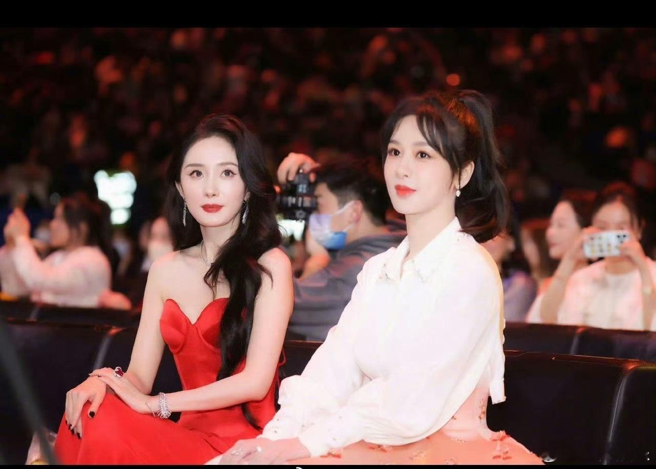 杨幂杨紫白玉兰二选一提名，她俩竞争简直就是白热化，两人票数多次平票，导致提名名单