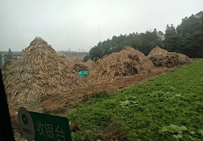 表妹是个35岁的女孩，她想走出大山，过上幸福的生活。今年过春节，远在